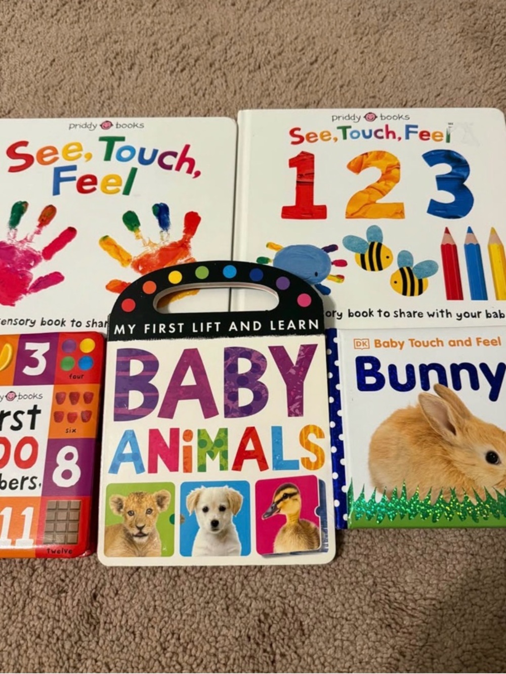 Baby Animals Lift-and-Learn Board Book - Multicolor